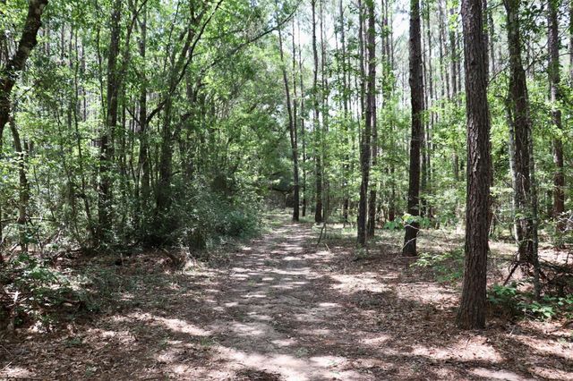 1250 Meekins Road, Cleveland, TX 77328