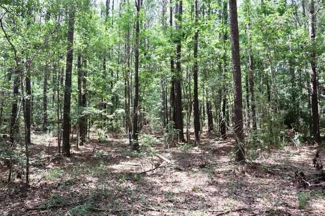 1250 Meekins Road, Cleveland, TX 77328