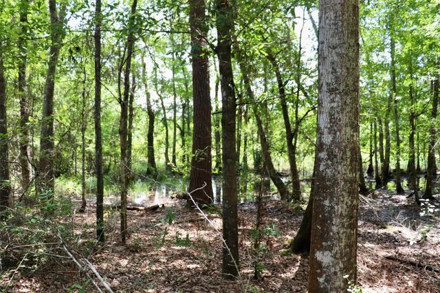 1250 Meekins Road, Cleveland, TX 77328