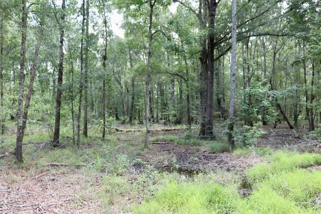 1250 Meekins Road, Cleveland, TX 77328