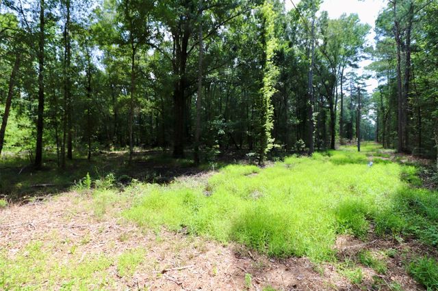 1250 Meekins Road, Cleveland, TX 77328