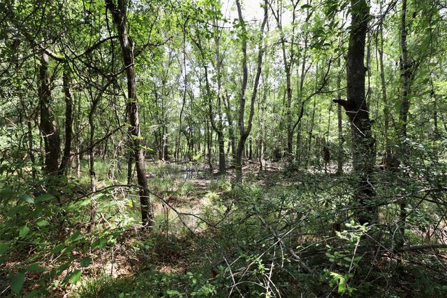 1250 Meekins Road, Cleveland, TX 77328