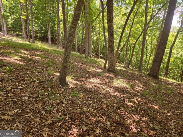TR 2 & 3 Settlement Road, Young Harris, GA 30582