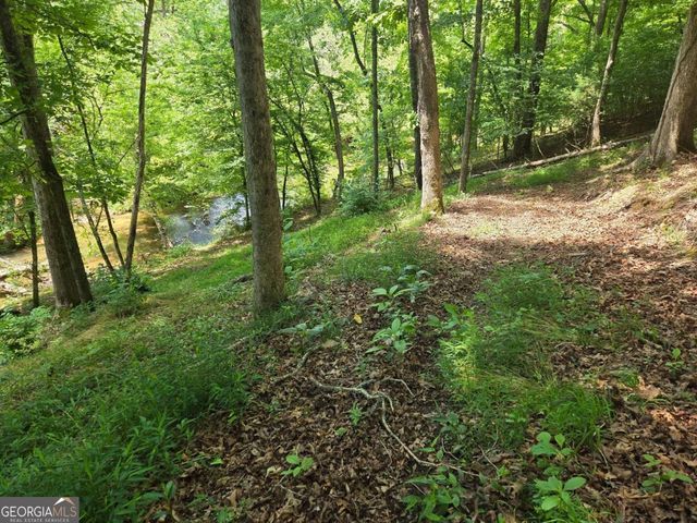 TR 2 & 3 Settlement Road, Young Harris, GA 30582