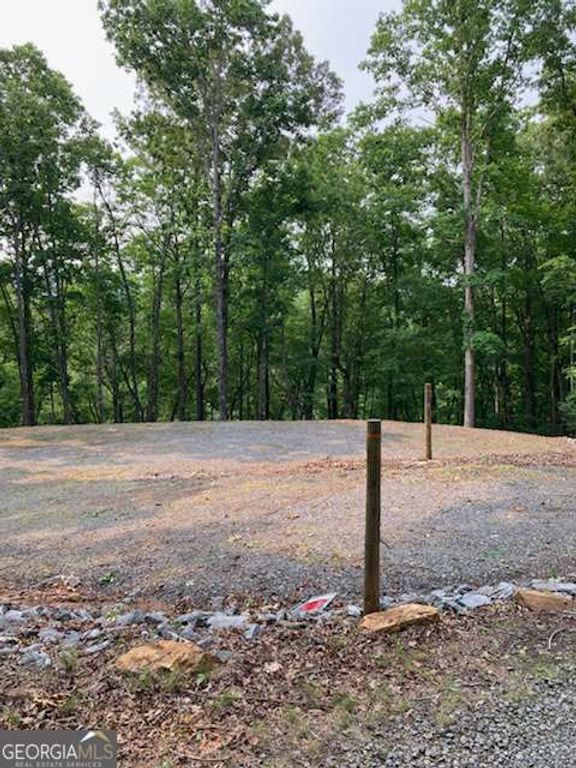 TR 2 & 3 Settlement Road, Young Harris, GA 30582