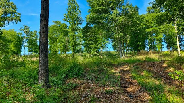 TBD Lot 221 Vintage Rd, Livingston, TX 77351