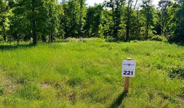 TBD Lot 221 Vintage Rd, Livingston, TX 77351