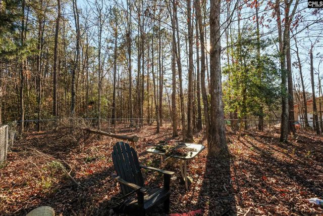 118 Frandeenas Court, Prosperity, SC 29127