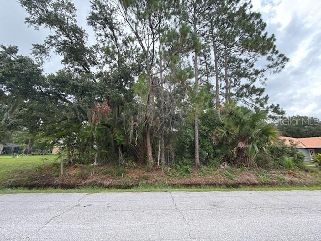 37 PRINCESS RUTH LANE, Palm Coast, FL 32164