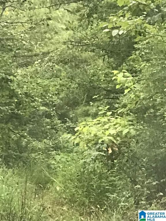 POLARIS CIRCLE, Alpine, AL 35014