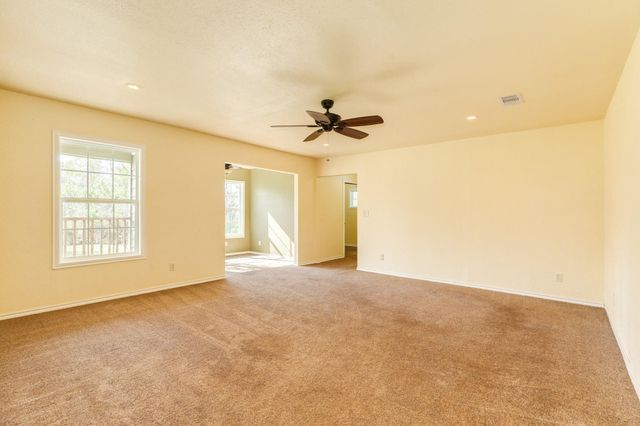 20302 Ramblewood Drive, Brazoria, TX 77422