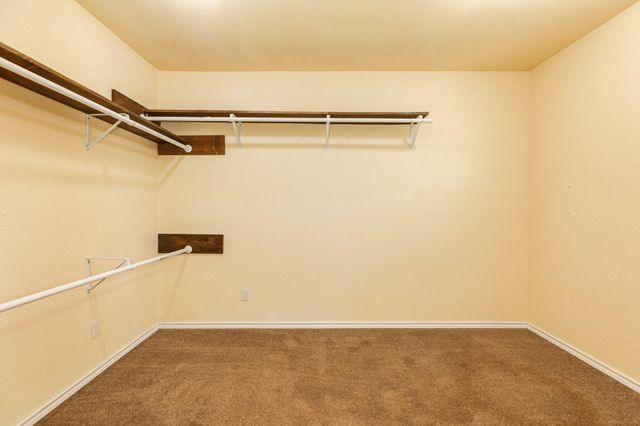 20302 Ramblewood Drive, Brazoria, TX 77422