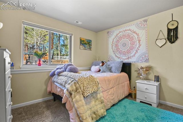 600 Spruce Street, Woodland Park, CO 80863