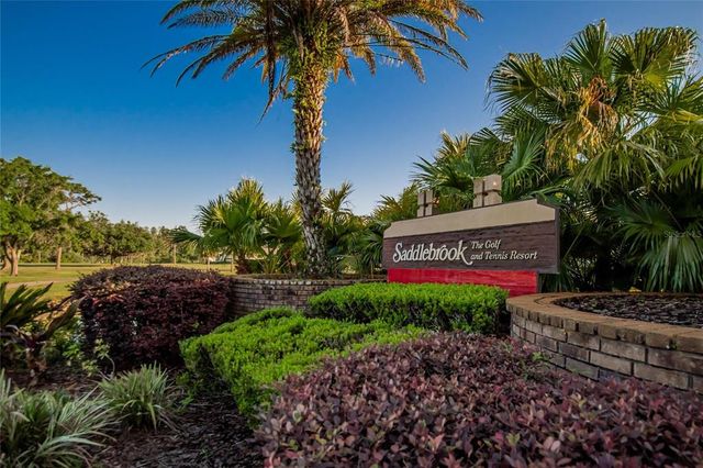 29909 BAYWOOD LANE, Wesley Chapel, FL 33543