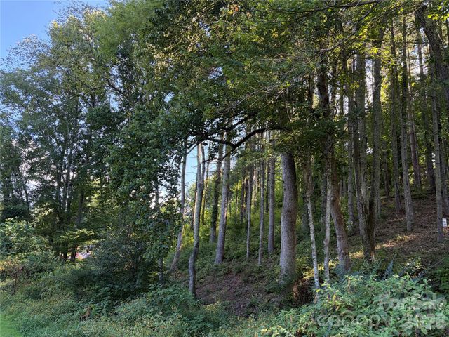 51 Barebridge Fields Road 51, Burnsville, NC 2874