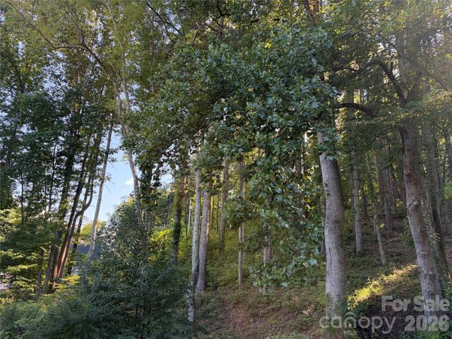 51 Barebridge Fields Road 51, Burnsville, NC 2874