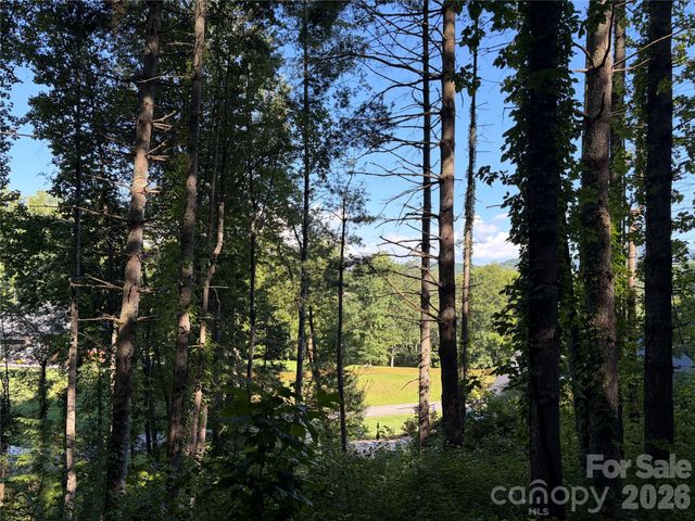 51 Barebridge Fields Road 51, Burnsville, NC 2874