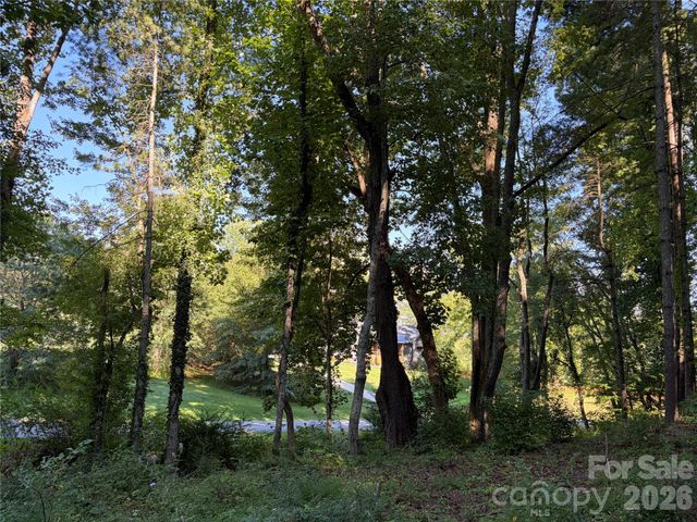 51 Barebridge Fields Road 51, Burnsville, NC 2874