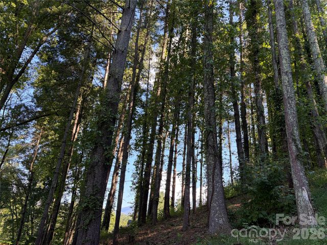 51 Barebridge Fields Road 51, Burnsville, NC 2874