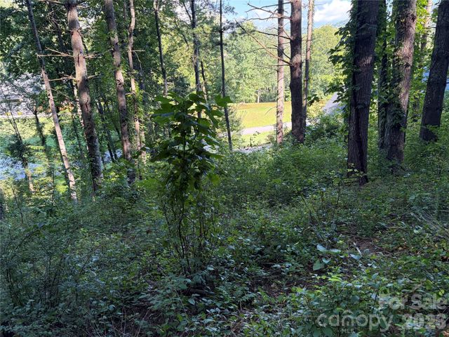 51 Barebridge Fields Road 51, Burnsville, NC 2874