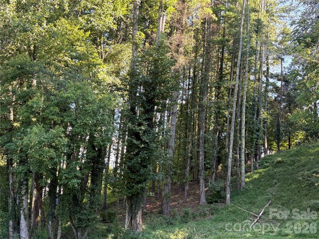 51 Barebridge Fields Road 51, Burnsville, NC 2874