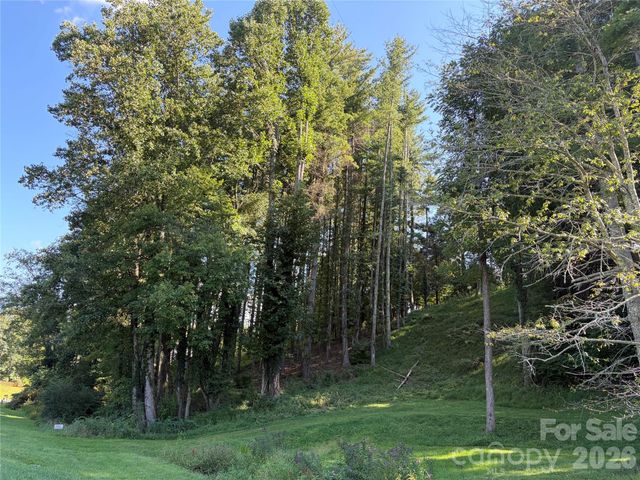51 Barebridge Fields Road 51, Burnsville, NC 2874