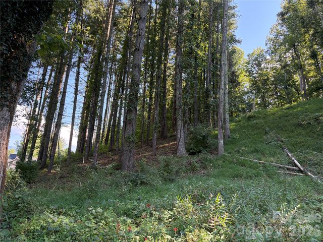 51 Barebridge Fields Road 51, Burnsville, NC 2874