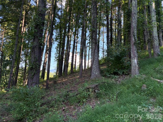 51 Barebridge Fields Road 51, Burnsville, NC 2874