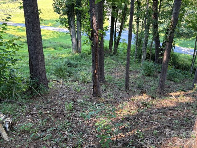 51 Barebridge Fields Road 51, Burnsville, NC 2874