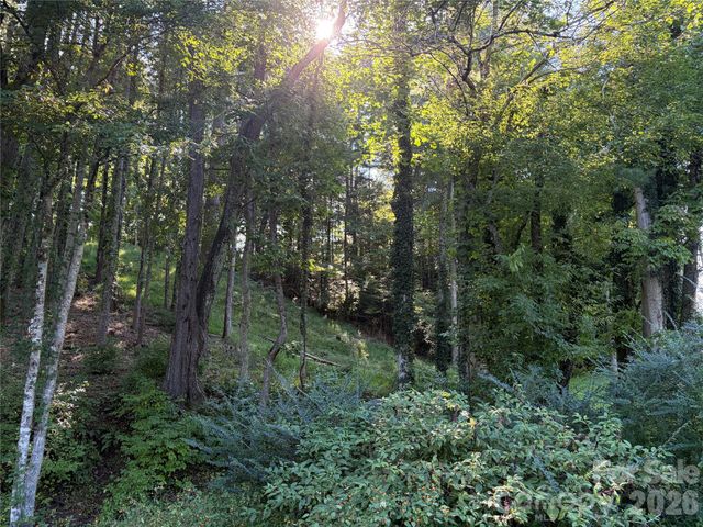 51 Barebridge Fields Road 51, Burnsville, NC 2874