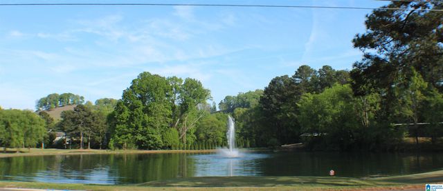 2224 DIANE DRIVE, Birmingham, AL 35235