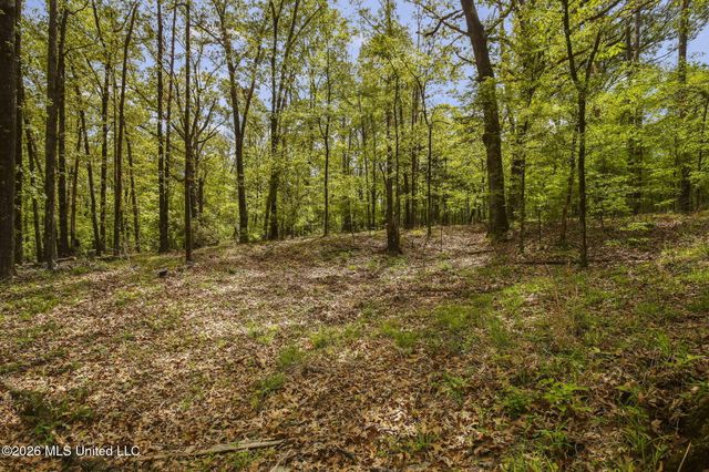 108 Antlers Lane, Madison, MS 39110
