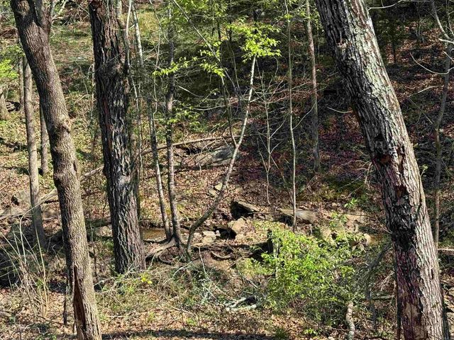 118 Richwood Dr Apt 52, Fairfield Bay, AR 72088