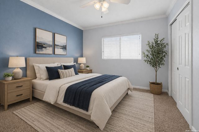 8447 Silver Willow, San Antonio, TX 78254
