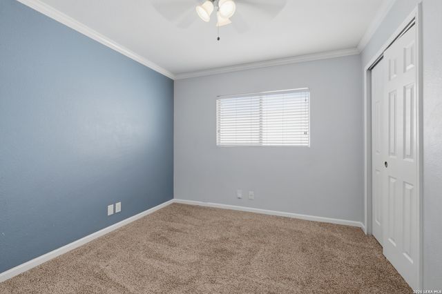 8447 Silver Willow, San Antonio, TX 78254