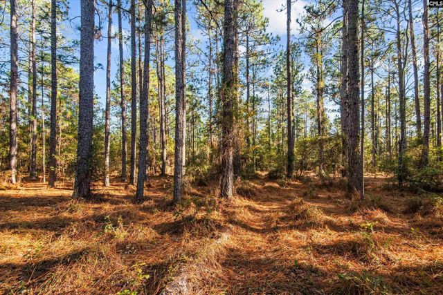 169 Valley Ridge Road, Swansea, SC 29160