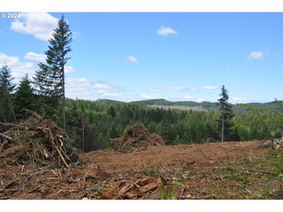 89975 SHEFFLER Rd, Elmira, OR 97437