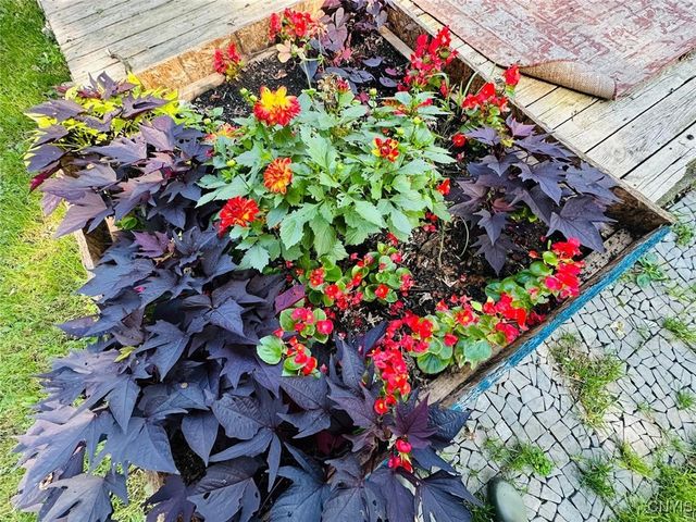 22 Samson Street, Cortland, NY 13045