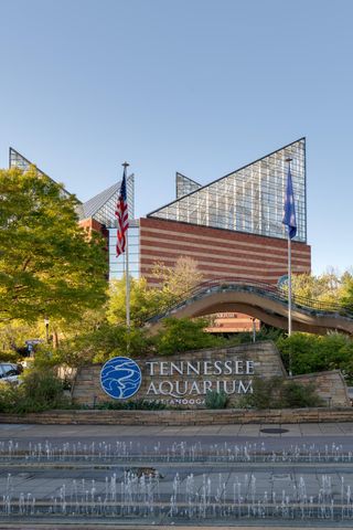 7626 Nightingale Court 58, Chattanooga, TN 37421