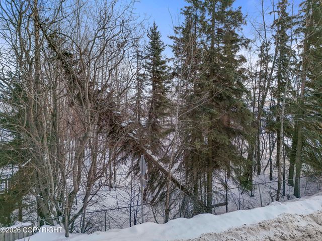 3 Unknown Street, Anchorage, AK 99517