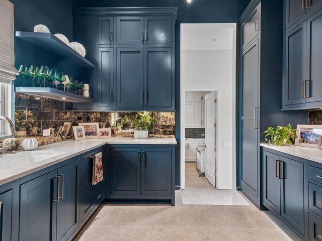 71 Norman Court, Watersound, FL 32461