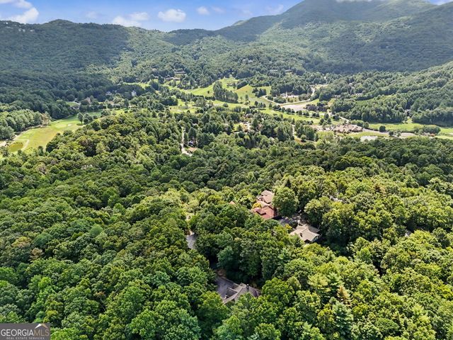 68 Jiminy Peak Lane, Sky Valley, GA 30537
