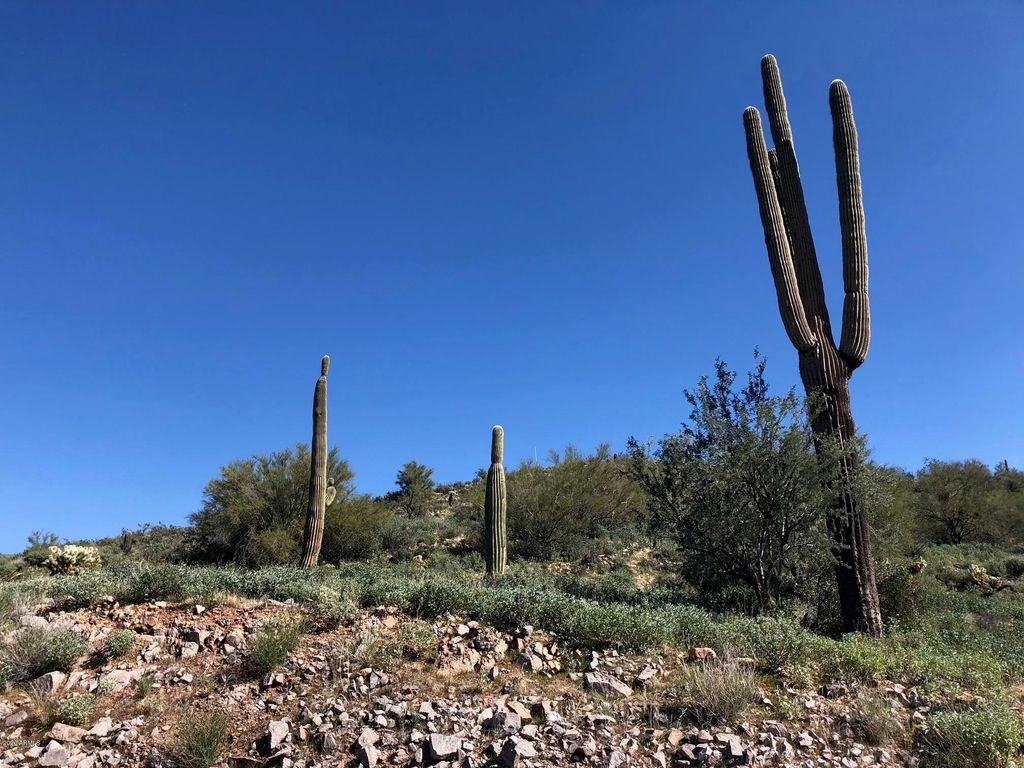 3863 S AVENIDA DE ANGELES -- 103, Gold Canyon, AZ 85118 — exterior