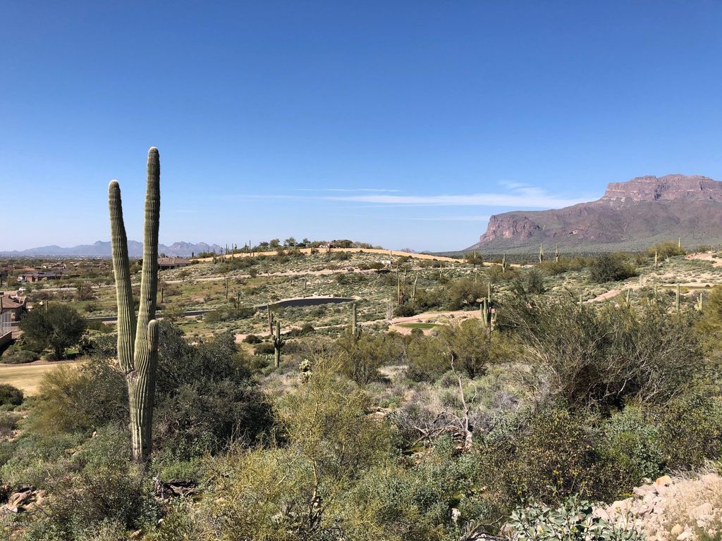 3863 S AVENIDA DE ANGELES -- 103, Gold Canyon, AZ 85118 — photo 4