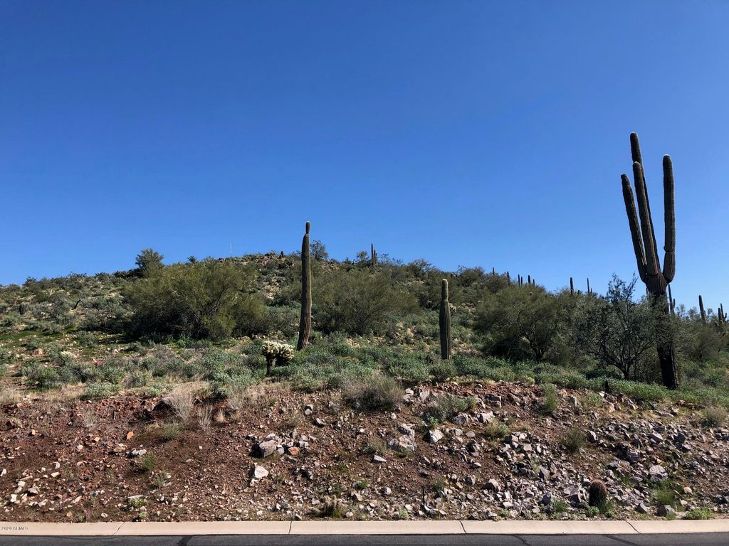 3863 S AVENIDA DE ANGELES -- 103, Gold Canyon, AZ 85118 — photo 5