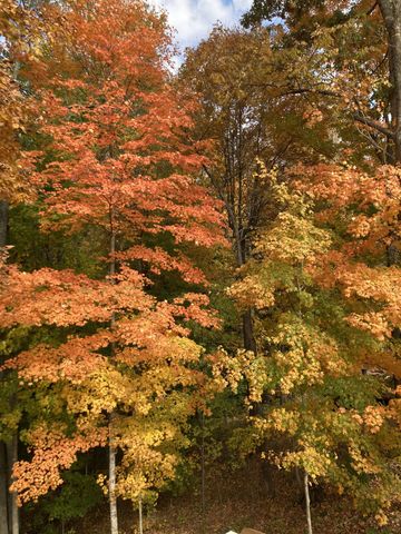 201 Glenwood Dr, Goodlettsville, TN 37072