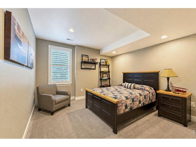 4462 Chaplin Creek Ct, Loveland, CO 80538