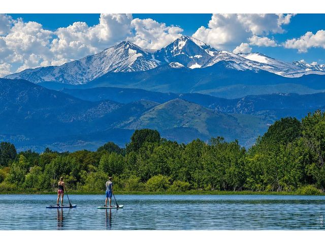 4462 Chaplin Creek Ct, Loveland, CO 80538