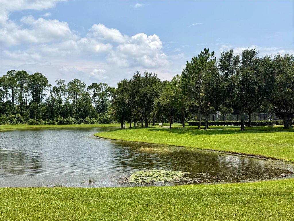 Image 48 of property listing at 12914 VENNETTA WAY, Windermere, FL 34786