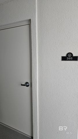 4610 White Avenue 205, Orange Beach, AL 36561